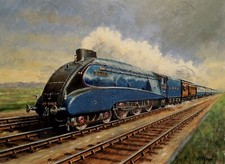 The Mallard Steam Train On Its