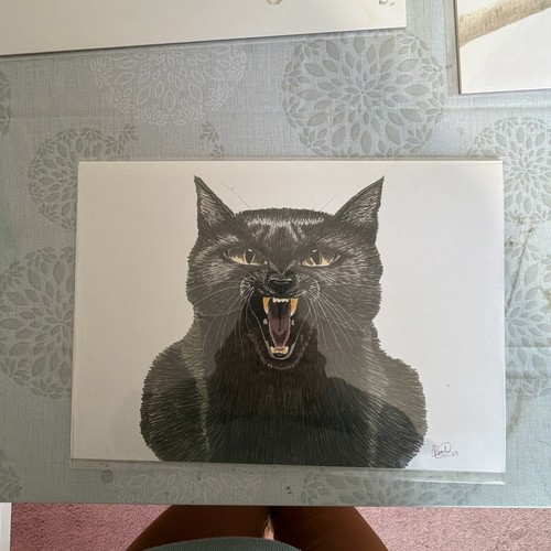 Limited edition cat print - edition,