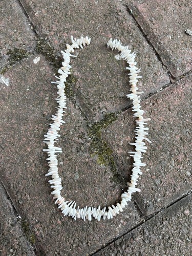 Coral necklace genuine - necklace,