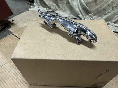 Jaguar leaping cat - leaping,