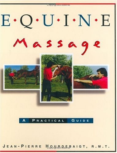 Equine massage - equine,