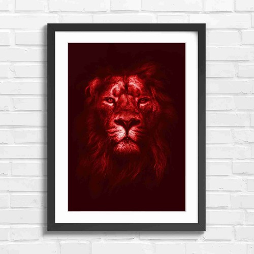 Intense majestic male lion - intense,