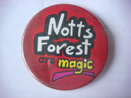 Vintage tin pin badge notts - pin,
