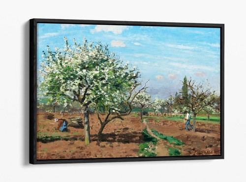 Orchard bloom camille - in, bloom,