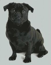 Pug Dog Puppy Counted Cross