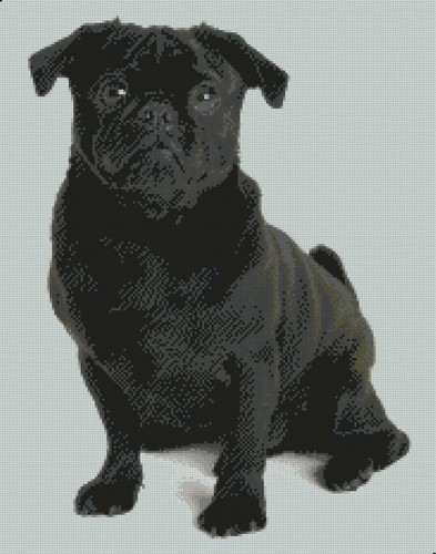 Pug dog puppy counted cross - pug,