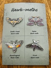 Hawk-moth Collectors Set -