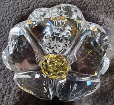 Swarovski 2017 SCS Membership