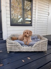 Extra Large Double Weave Wicker Dog Bed Grey Kaboo