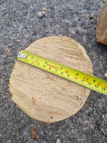 Green unseasoned boxwood log - green,