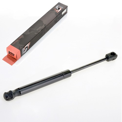 Gas pressure dampers - gas, hood