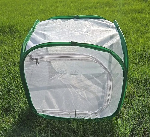 Collapsible butterfly moths - butterfly,