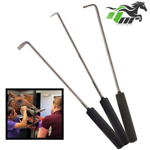 Equine dental picks - equine,
