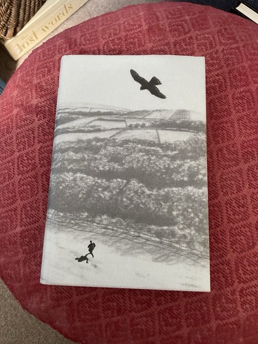 Kestrel for knave barry - for,