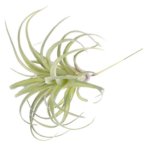 Artificial flower home decor - home,
