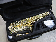 Vivace Alto Saxophone Outfit