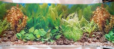 Aquarium photo backsplash - aquarium,
