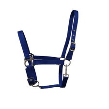 GS Equestrian Economy Head Collar