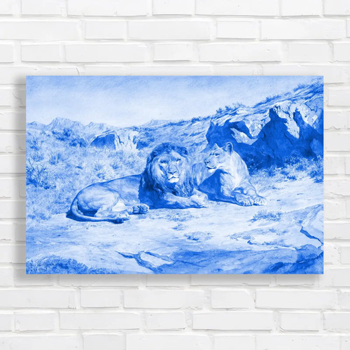 Resting lions desert - resting,