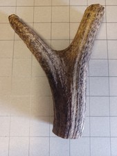 Red Deer Stag Horn Thumbstick Handle