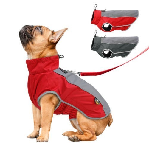 Waterproof dog coat - coat, winter