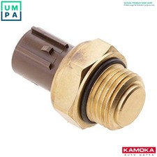 TEMPERATURE SWITCH RADIATOR