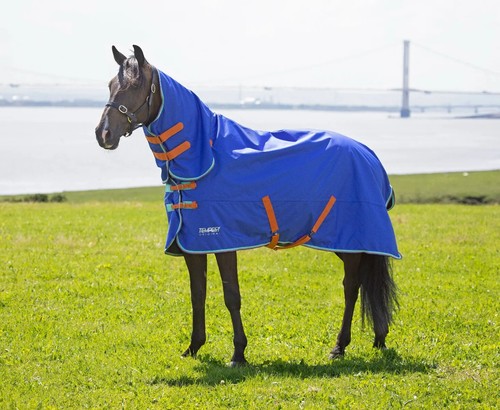 Shires tempest original 50g - shires,