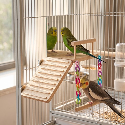 Bird wooden perch platform - bird,