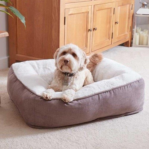 Memory foam dog bed - foam,