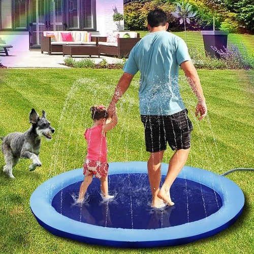 Dog swimming pool pet - dog,