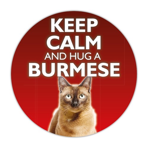 Keep calm and hug a - x,