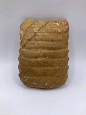 Fossilized Stingray Mouth