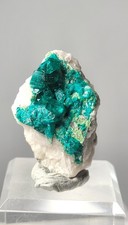 Dioptase Specimen Tsumeb Mine