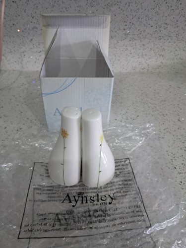 New aynsley salt - new,