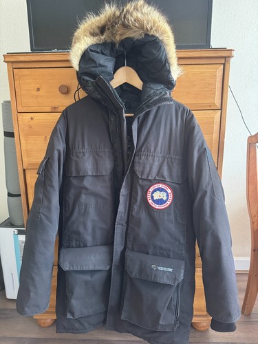 Canada goose expedition - goose,