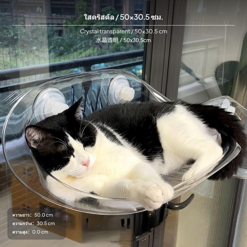 Window perch cat - window,