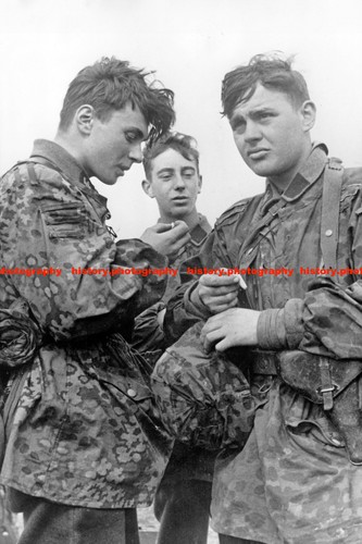 F019732 german waffen - f019732,