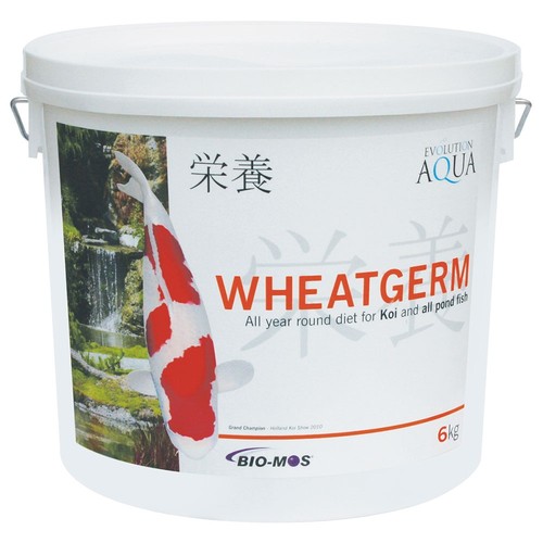 Evolution aqua wheatgerm koi - wheatgerm,