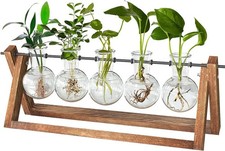 Plant terrarium with wooden - plant,