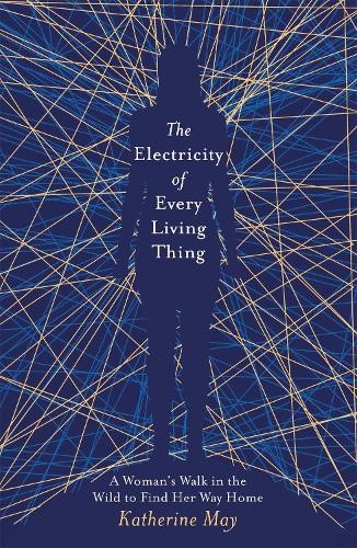The electricity every - the,