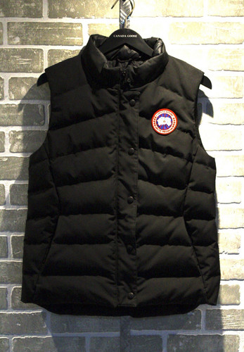 Canada goose black - black, down