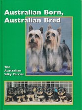 AUSTRALIAN SILKY TERRIER Jan
