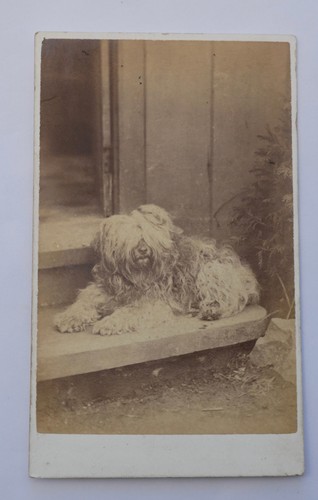 1872 cdv long - cdv, a