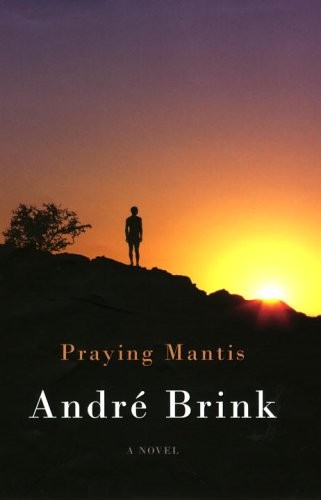 Praying mantis brink andr - praying,