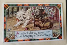 Dog/Cat Postcard, West