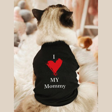 Pet Dog Cat Cute Princess