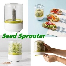 Countertop Sprouter Seedlings