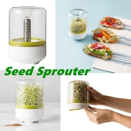 Countertop sprouter seedlings - countertop,