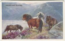 HIGHLAND PONIES, HORSE, MABEL GEAR -  Art Postcard