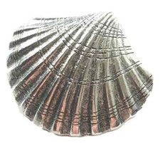 Medieval Scallop Shell Pilgrim